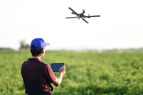 Farmer controlling drone over field