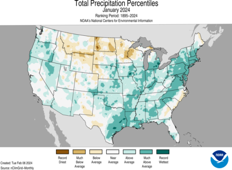 Precipitation totals map for January