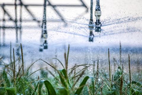 Closeup of center pivot watering corn