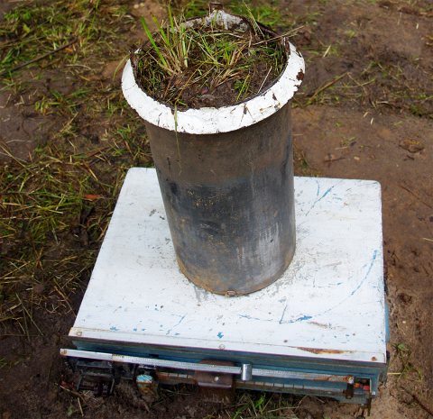 Lysimeter filled with soil