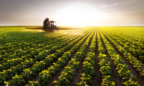 Pesticide application in soybean