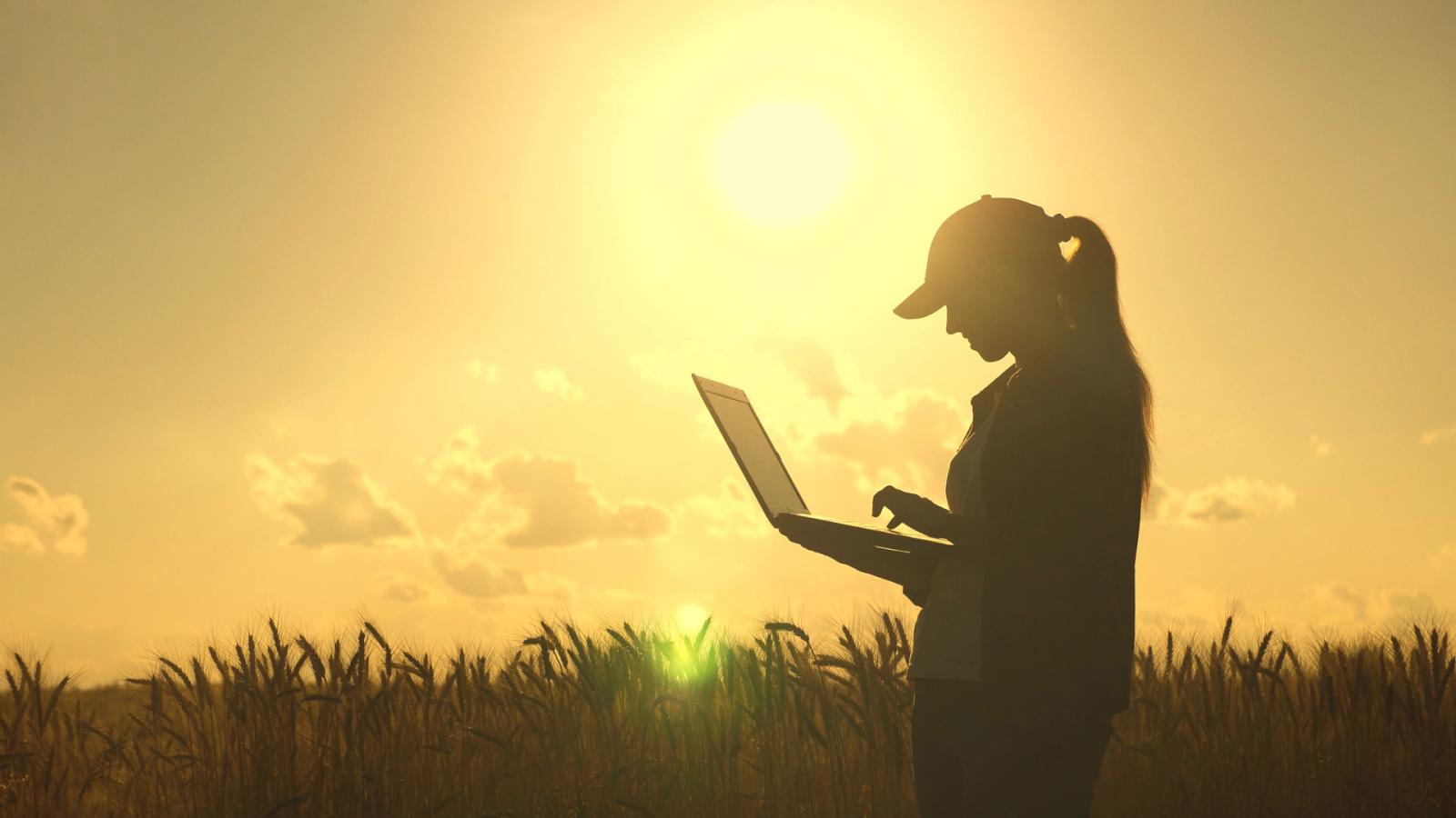 Farmer using a laptop in a field.